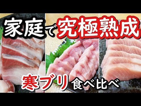 【最大15日】熟成寒ブリの食べ頃を調査！日数毎のトリミングの仕方や食べ比べを検証