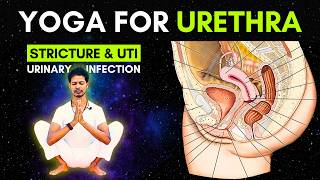 How to cure Urine Infection? | Yoga for Urethra Stricture & UTI #uti #urethra