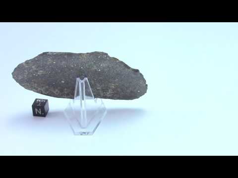 Meteorite NWA 869 - 36.8 grams