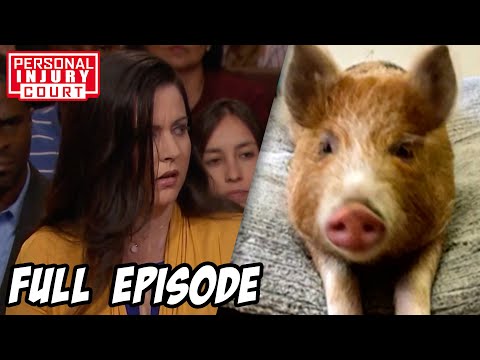 Finger-Hungry Pig's Owner Sued For $50,000 | Full Episode | Personal Injury Court