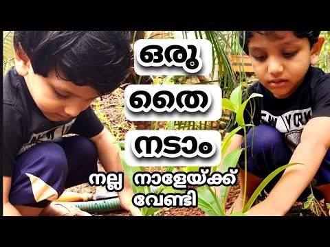 ഒരു തൈ🌱 നടാം നല്ല നാളേയ്ക്ക് വേണ്ടി ||World Environment Day