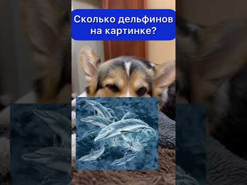 ЗАДАНИЕ ДЛЯ САМЫХ ВНИМАТЕЛЬНЫХ