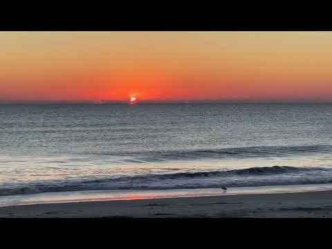 North Florida Surf And Beach Update 7am 12.03.2024