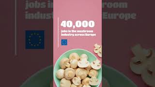 40,000 jobs are provided by the mushroom industry in Europe !