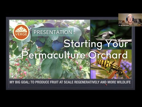 Starting Your Permaculture Orchard: Success Strategies