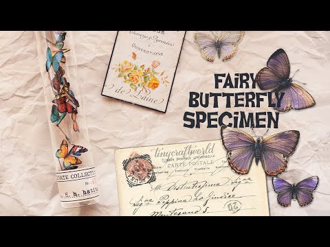 Magical 🦋 Fairy Butterfly 🦋 specimen paper project (scrapbooking papercraft)