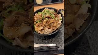 【グルメ】兵庫・岩屋のごっつい肉丼屋