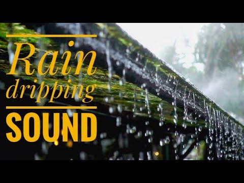 Rain dripping from the roof | relaxing sound | water sound | meditate | sleep | Rain sounds