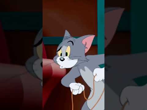 #tomandjerry #funny #animation