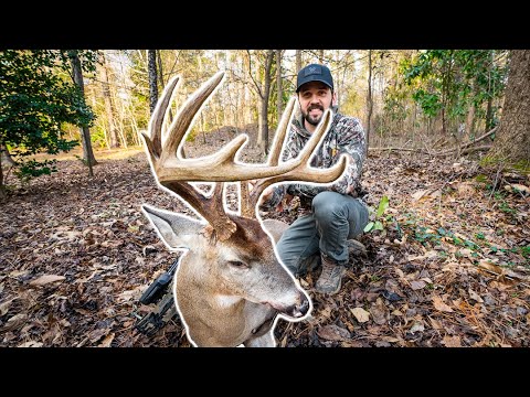 8+ Year OLD Late Season WARRIOR: Story of Bruce