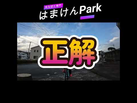 自転車道トンネルのミステリー・ホラーツアーはちょっとだけ怖かった！？【野山北公園自転車道】　#shorts