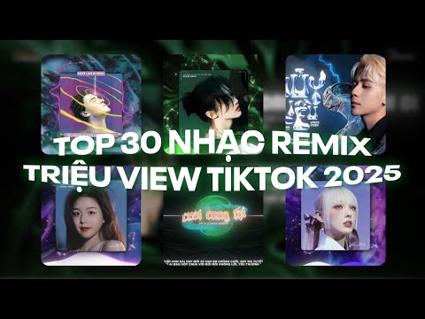 TOP 30 Nhạc Remix TikTok Triệu View: Anh Đau Từ Lúc Em Đi, Đừng Hỏi Em Ổn Không, Hương Hoa Phai Tàn