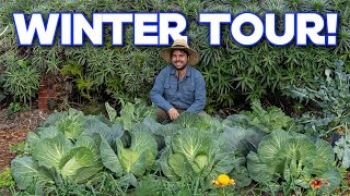 Touring My Winter Garden | Vegetable Uses and Growing Tips