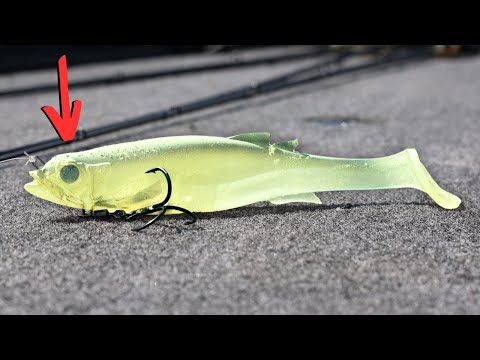 I believed this LIE about SWIMBAITS For Years