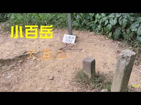 小百岳：大崗山