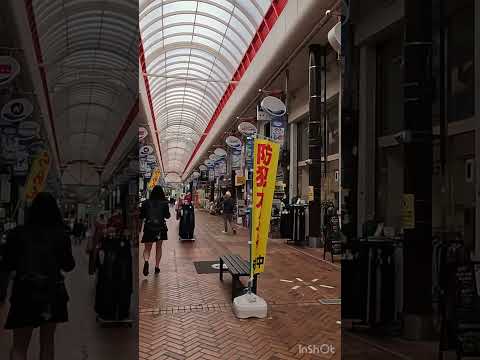 Yes,Let's go to Shizuoka!（Numazu Nakamise Shopping Street）そうだ、静岡へ行こう！（沼津仲見世商店街）【4K】#travel #anime