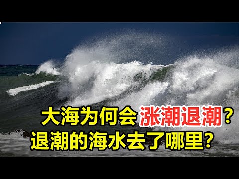 大海為什麼會漲潮落潮？退潮后海水退回海洋，海洋的水增多了嗎？