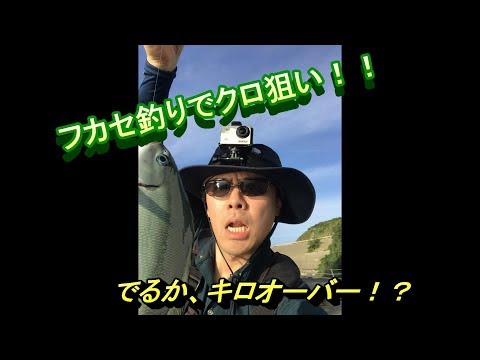 フカセ釣りでクロ狙い！！