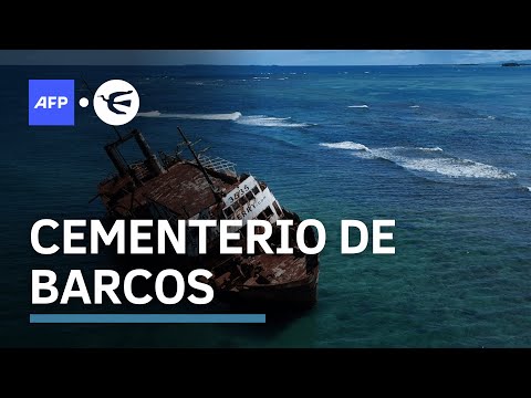 Una oportunidad para la vida marina en el cementerio de barcos de Panamá