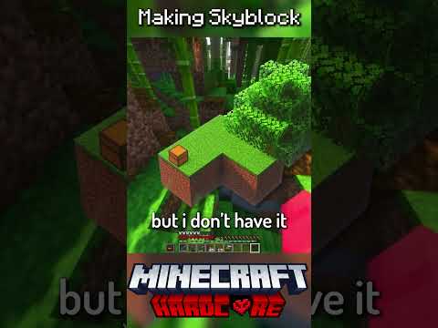 I Made Skyblock in Minecraft Hardcore #1