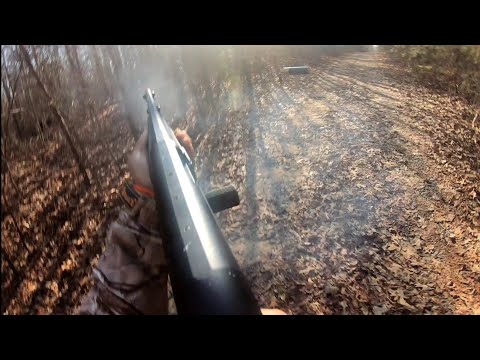 Deer Hunting With Dogs!! Local Boys Hunt Club!! 2 Kill Shots!!! Westmoreland County