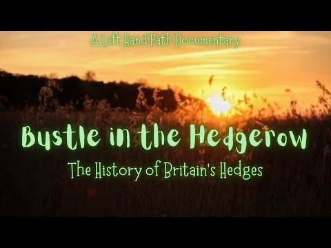 Bustle in the Hedgerow | The History of Britain's Hedges  | Documentary  | Folklore and Myth