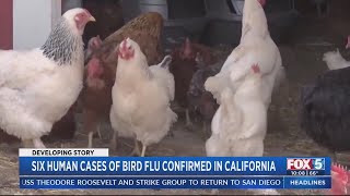 Six human cases of bird flu confirmed in California