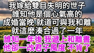 我嫁給雙目失明的世子，誰知他是個心氣高的，成婚當晚，就道可與我和離，就這麼湊合過了一年，誰知一年後，我遞上和離書，他卻一改君子風度，不肯了 【美好人生】