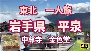 東北一人旅、岩手県、平泉、『中尊寺金色堂』！大阪を旅立ち、仙台から岩手県中尊寺に向かいます。世界遺産、平泉の一角、中尊寺は一見の価値ありです。