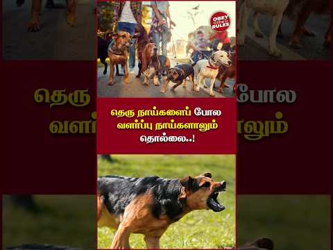 தெரு நாய்களைப் போல வளர்ப்பு நாய்களாலும் தொல்லை..! #dogattack #obeytherules #otr