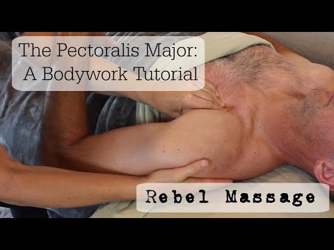 Pectoralis Major: A Bodywork Tutorial