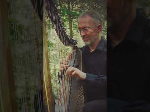 Improvisation on 37 string Celtic harp #music #harp #arpa #celticharp #harfenmusik