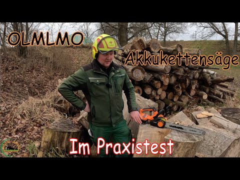 Akku-Kettensäge Olmlmo im Praxistest