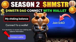 HOW TO JOIN DAO HAMSTER KOMBAT SEASON 2 | HAMSTER KOMBAT DAO CONNECT WITH WALLET