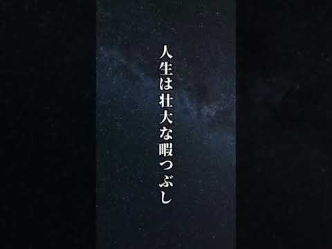 世界一短いラブレター💌#ショート #ためになる言葉 #bgm #言葉 #人生の言葉 #人間関係 #言葉 #考え方 #メンタル