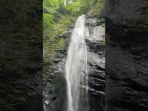 【滝】奈良県　川上村の蜻蛉の滝　高さ50mマイナスイオン全開！！せいれいの滝　観光　旅行　穴場スポット　自然　ピクニック