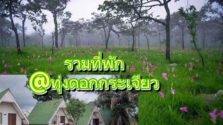 รีวิวรีสอร์ท ที่พัก ทุ่งดอกกระเจียว ชัยภูมิ ราคาถูก  ep76