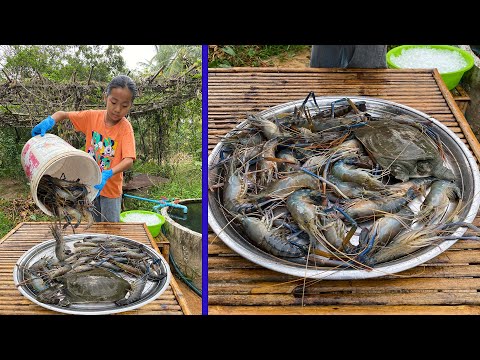 Patient and calm country girl cook shrimp and turtle with country style - Cooking with Sreypich