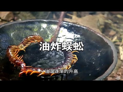 蜈蚣是五毒之一，那就吃油炸蜈蚣，简直是香脆可口！