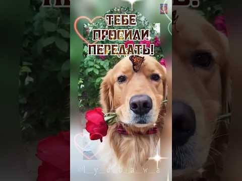 Счастливого дня! 🥰 Привет от меня!👋