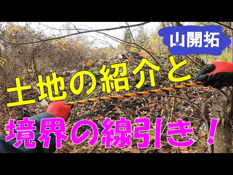 【山開拓】境界が分かるように線引きしてみました！意外と広い？狭い？【閲覧注意】