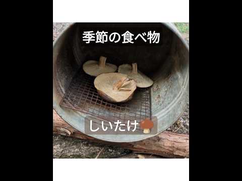 【しいたけ🍄‍🟫こんな食べ方もあり】