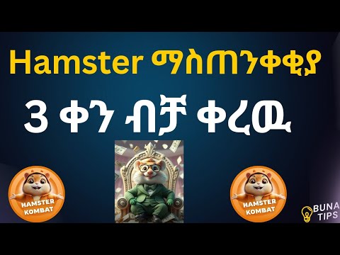 How To Withdraw Hamster Kombat | How To Connect Hamster To Binance