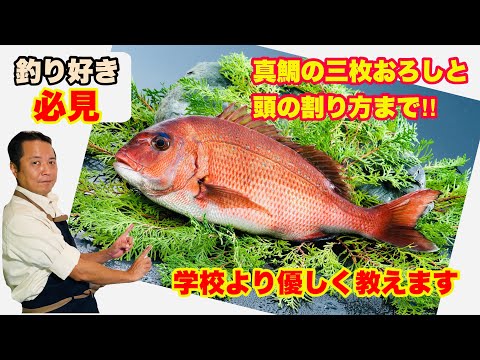 これで上手に魚を捌けます!!簡単で全部教えます。