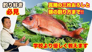 これで上手に魚を捌けます!!簡単で全部教えます。