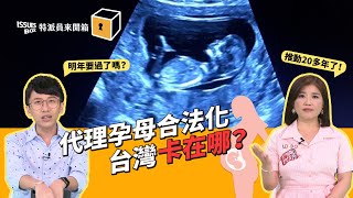 ISSUES BOX 特派員來開箱｜EP.14 代理孕母合法化，台灣卡在哪？｜公視 20231121