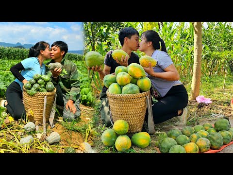 10 days Picking papaya, squash, cucumber, green vegetables to sell - Building a life with husband