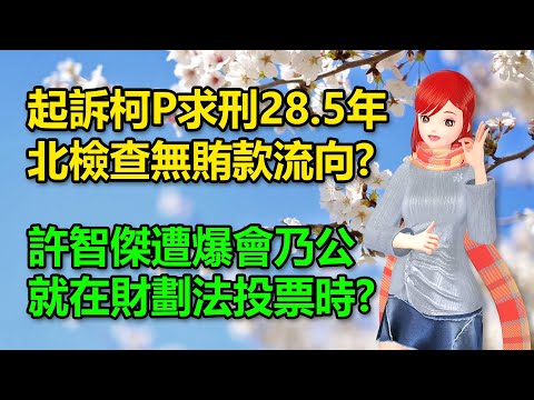 起訴柯P求刑28.5年，北檢卻查無賄款流向?｜許智傑遭爆會吳乃仁！就在財劃法投票時?🍓20241226 #高雄林小姐 #Vtuber​​​​ #台灣Vtuber​​​ #台V