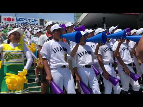 飯山高校の応援 コナン SEE OFF 得点シーンGフレア 【凄いです】2019仙台育英戦