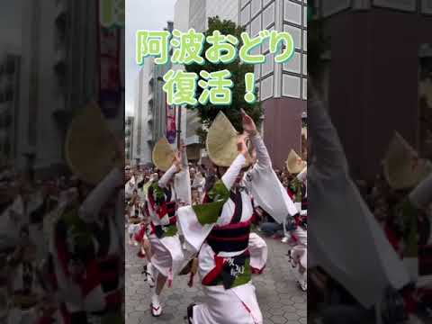 【卓越東京】阿波舞，復活了!  #東京是國際宜居城市 #浅草